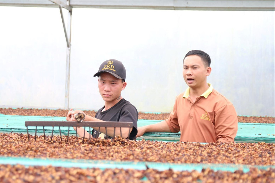 Thanh niên Đắk Nông làm giàu từ cây trồng "nhà làm được"