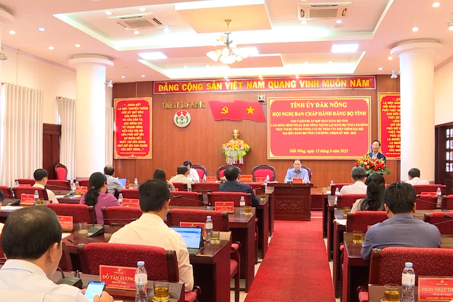 Cho ý kiến về Đề án hợp nhất Đảng bộ tỉnh Lâm Đồng, Bình Thuận, Đắk Nông