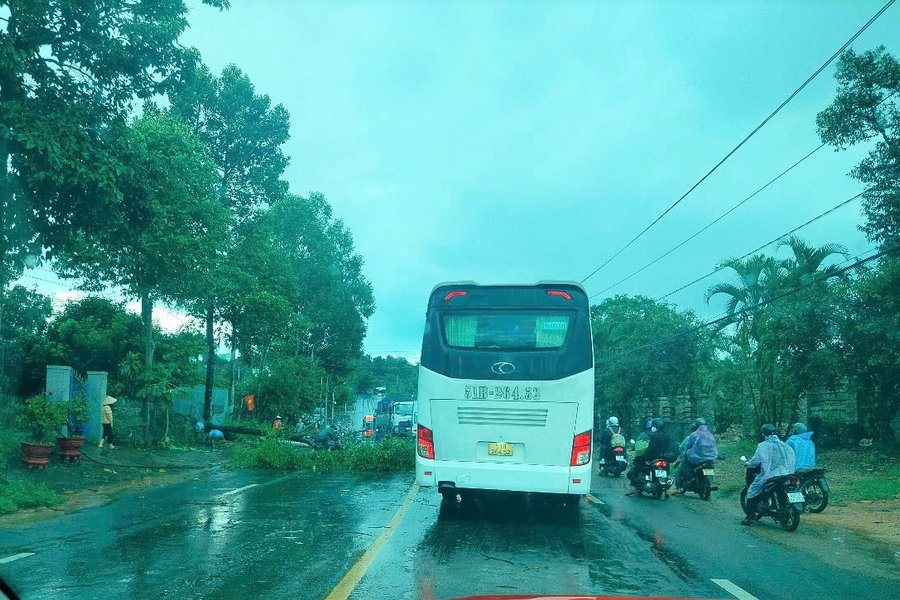 Đạ Huoai: Cây xanh và trụ điện ngã đổ chắn ngang Quốc lộ 20