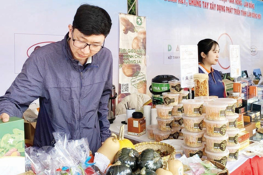 Phát triển kinh tế hợp tác xã - nhìn từ những mô hình mẫu