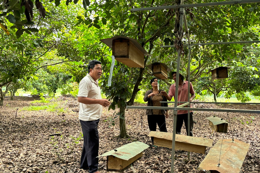 Nghề nuôi ong mở hướng sinh kế xanh ở Lâm Đồng