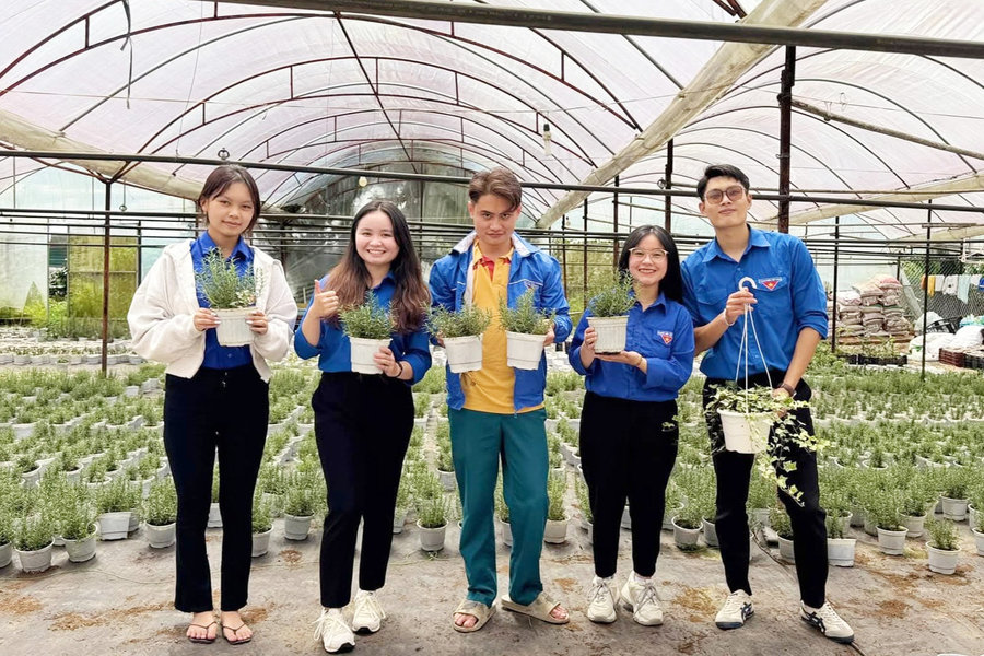 Trần Hồ Duy Bảo và khát vọng lập thân, lập nghiệp
