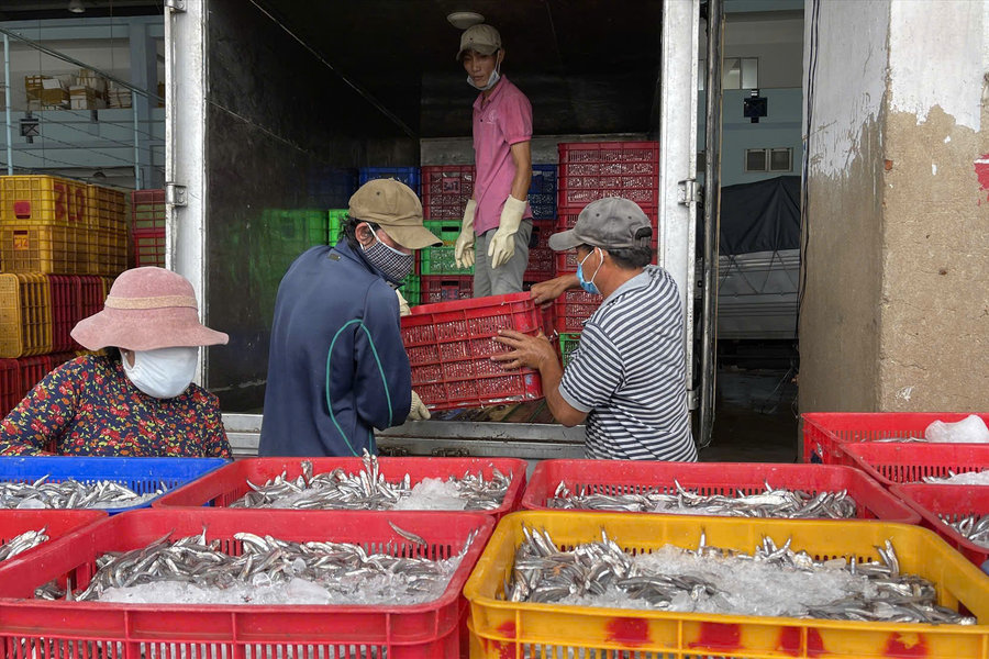 Trăn trở hướng đi những mô hình nghiệp đoàn