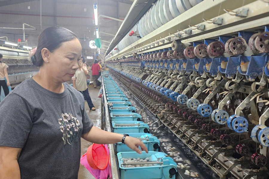 Gieo “mầm lụa” trên vùng đất khó