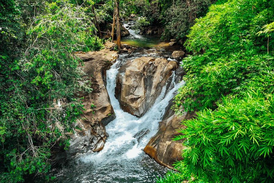 Khám phá “Âm vang từ Trái đất”