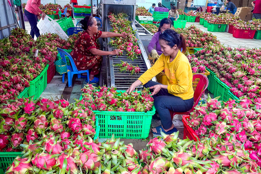 Tiêu thụ chéo
