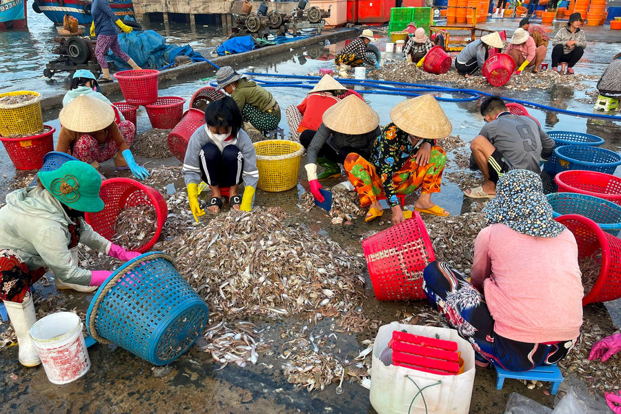Gồng gánh mưu sinh trên bến cảng Cồn Chà