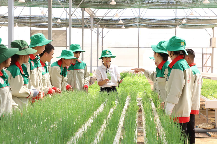 Nâng tầm lao động, đáp ứng nhiệm vụ phát triển