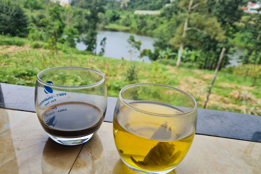 Hương chè xanh phố núi