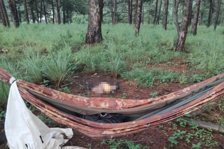 Phát hiện bộ xương người trên rừng thông