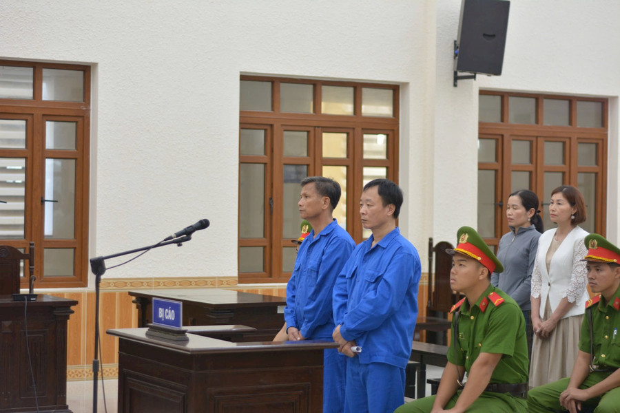 Giám đốc Công ty Long Thái Việt lãnh án