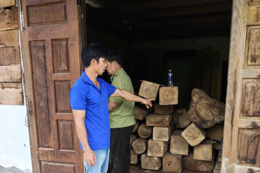 Hai người đàn ông ở xã Bảo Lâm 5 tàng trữ trái phép gần 7 mét khối gỗ
