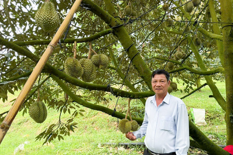 “Nhịp cầu nối” nghĩa tình ở Bảo Lâm 3