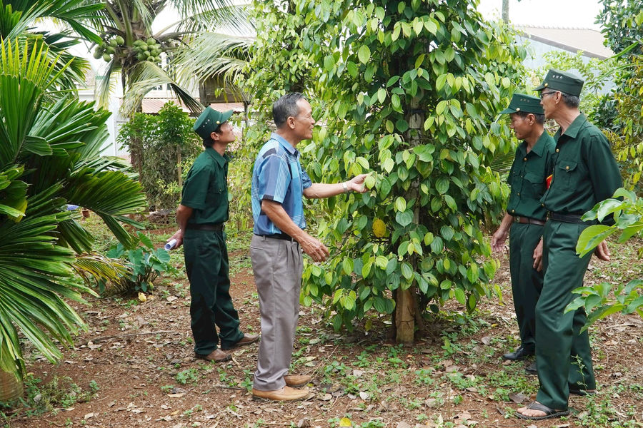 Học và làm theo Bác để xây dựng chi bộ trong sạch, vững mạnh