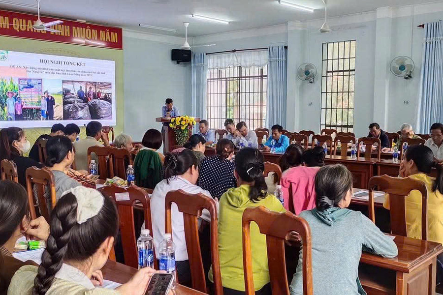 Trồng ngô làm thức ăn chăn nuôi phù hợp với vùng đất Cát Tiên