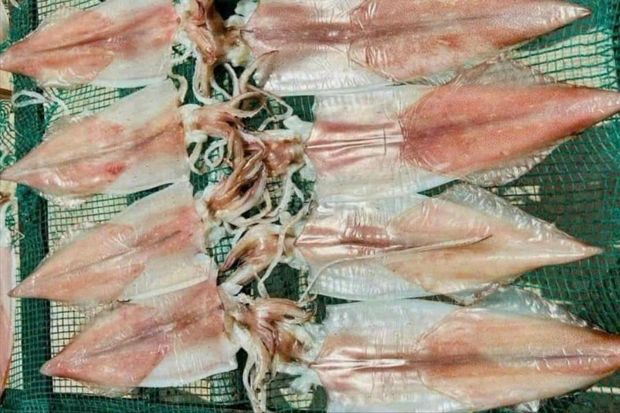 Mực, cá thu một nắng giữ vị ngon, tránh mua lầm