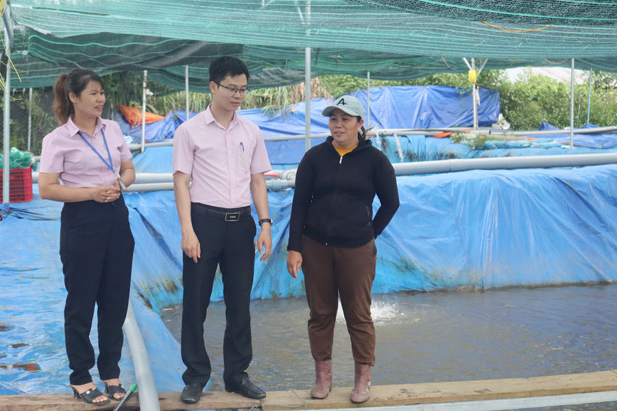 Từ dòng vốn vay của Ngân hàng Chính sách xã hội