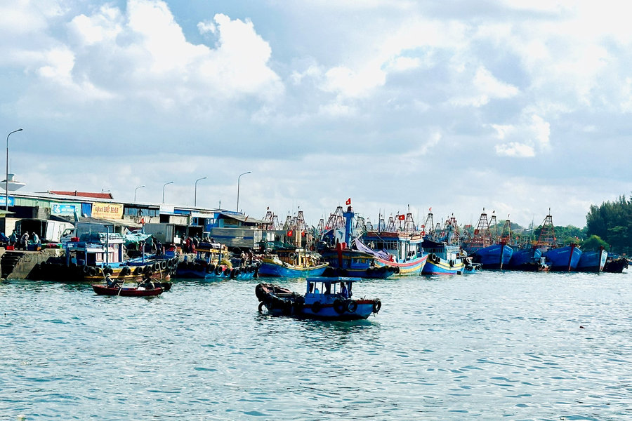 Cao điểm vụ cá nam, ngư dân Lâm Ðồng trúng đậm