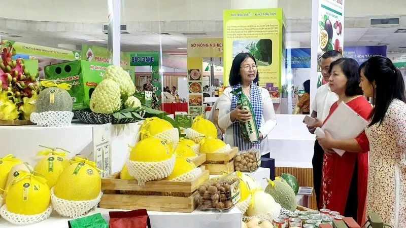 Tiềm năng phát triển mô hình hợp tác xã điện tử