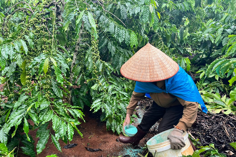 Cần giải pháp căn cơ xử lý dư lượng hóa chất trong nông sản