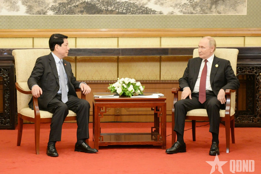 Chủ tịch nước Lương Cường hội kiến Tổng thống Liên bang Nga Vladimir Putin
