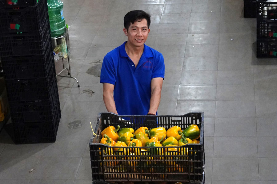 Kỳ vọng nông nghiệp bứt phá từ dự án ngàn tỷ