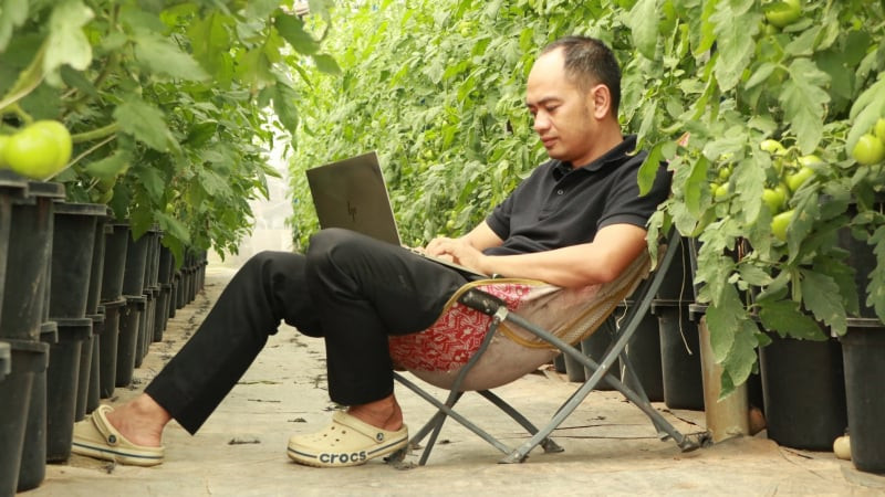 Nông nghiệp công nghệ cao Lâm Đồng, nông dân tưới rau, chăm hoa mà chả phải ra vườn nhờ chuyển đổi số