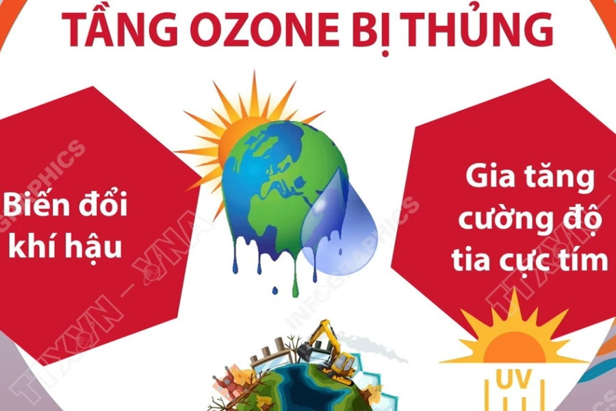 Lỗ thủng tầng Ozone và hệ lụy khôn lường cho sự sống