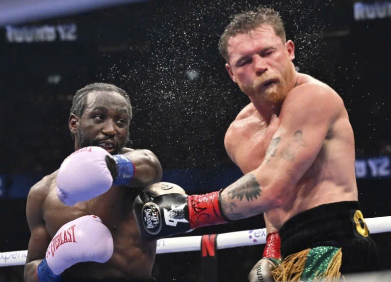 Hoàng đế boxing