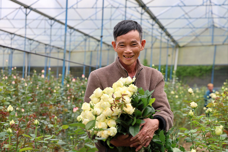Khát vọng làm giàu từ nghề trồng hoa của người lính Cụ Hồ