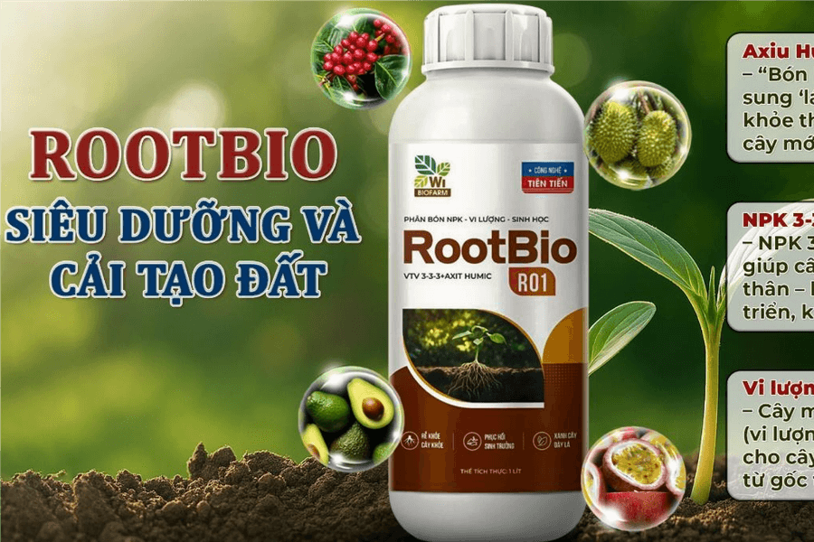 Cách dinh dưỡng cân bằng giúp cây ra hoa - đậu trái đồng loạt