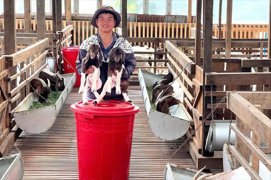 Dược sĩ nuôi dê tuần hoàn ở Bảo Lộc