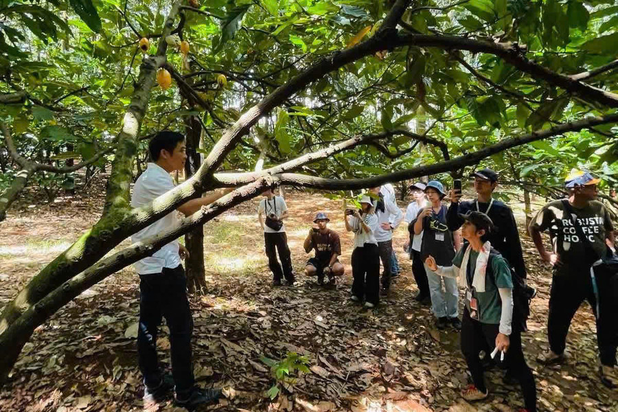 Lâm Đồng phát triển nông nghiệp, nông thôn hiện đại, bền vững