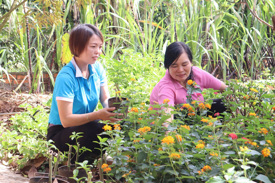 Phụ nữ Lâm Đồng duy trì, lan tỏa các phong trào thi đua