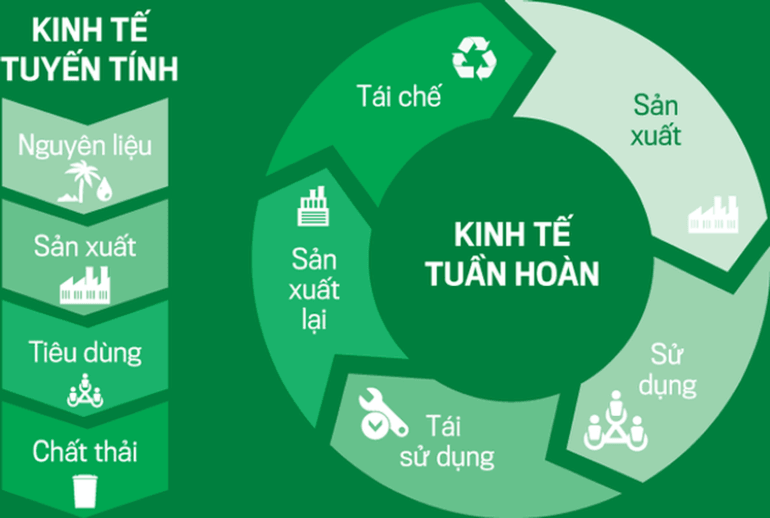 Kinh tế tư nhân hiện thực hóa mô hình phát triển xanh, tuần hoàn và bền vững
