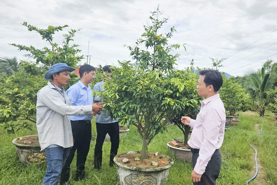 Trao cơ hội phát triển kinh tế hộ từ đồng vốn chính sách