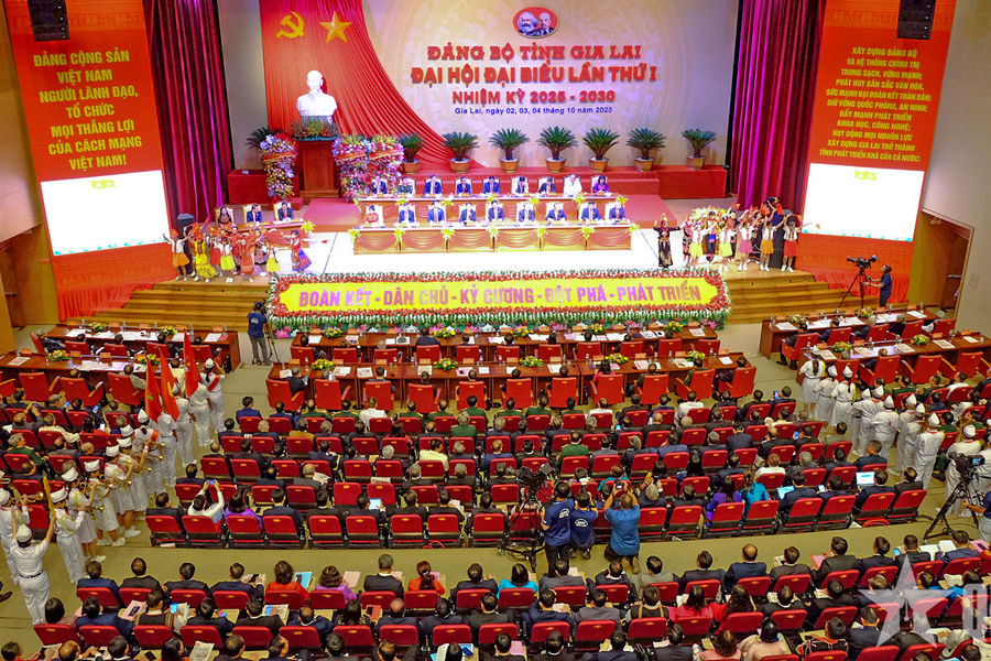 Thượng tướng Thái Đại Ngọc giữ chức vụ Bí thư Tỉnh ủy Gia Lai nhiệm kỳ 2025-2030