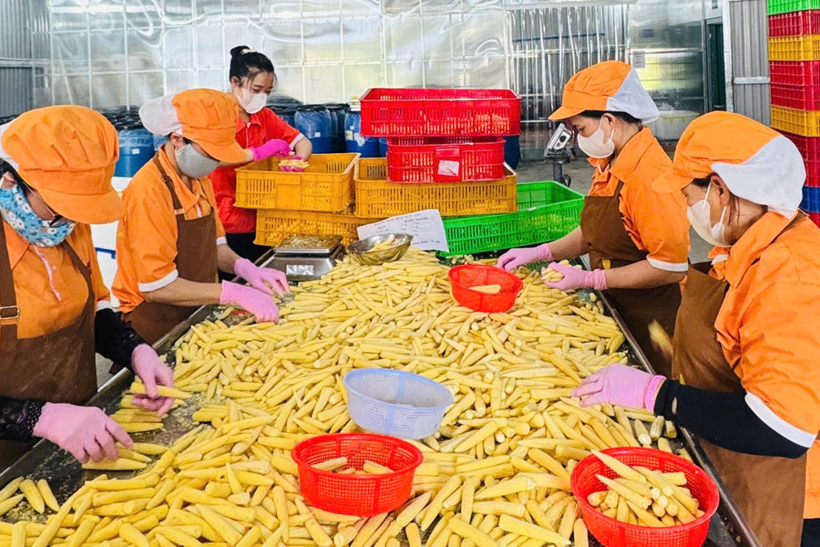 Nghị định 80 - đòn bẩy để doanh nghiệp nhỏ và vừa bứt phá