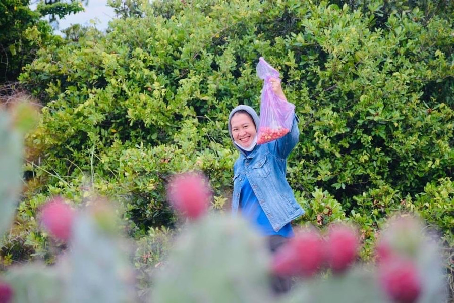 Ma dương - hương vị tuổi thơ nơi đồi cát gió