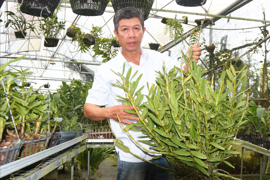 “Thủ phủ” của lan rừng
