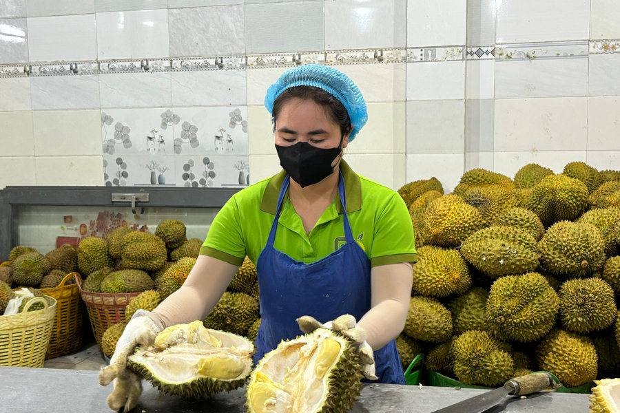 Cấp đông sầu riêng xuất khẩu