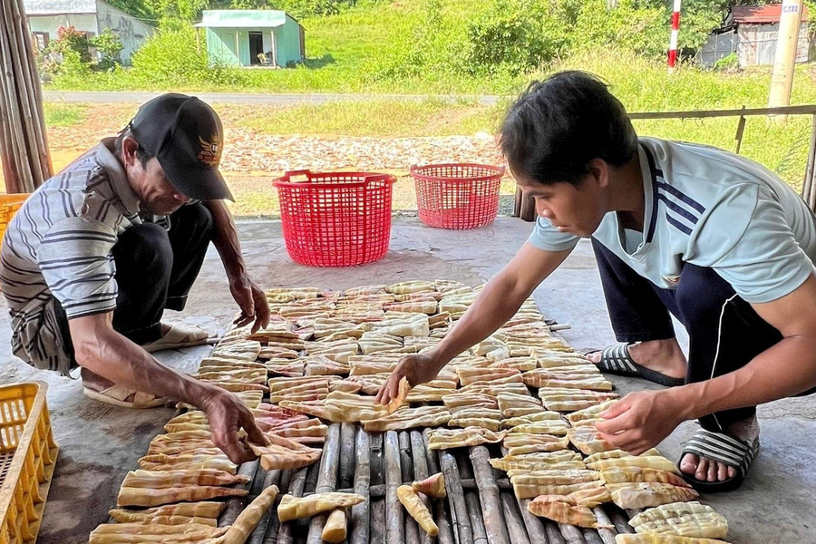Vào mùa măng rừng ở vùng cao Đông Giang