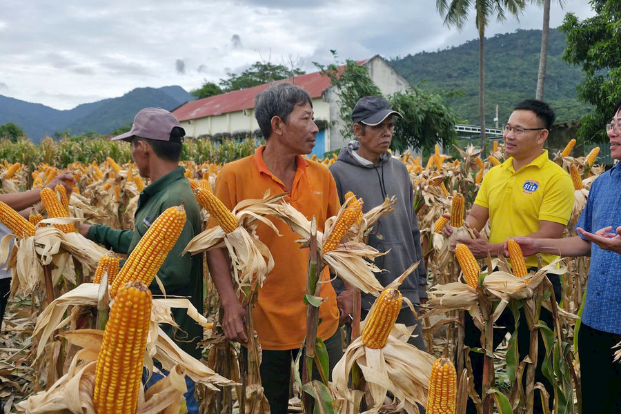 Trung tâm Dịch vụ miền núi hỗ trợ người dân vùng đồng bào phát triển kinh tế