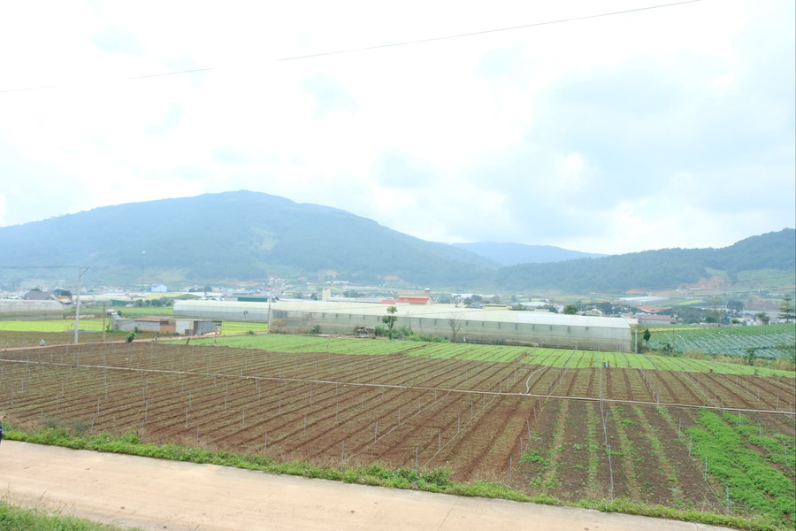 Người dân hồ Ta Hoét được bảo đảm điều kiện tái định canh tốt nhất