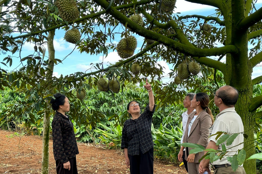 Những bông hoa tỏa sáng giữa đại ngàn
