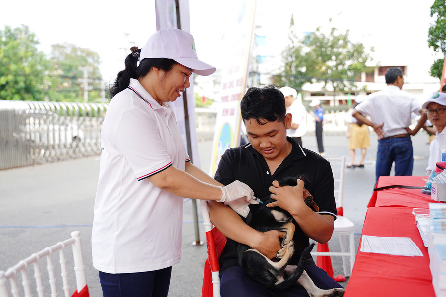 Phát hiện chó nghi mắc bệnh dại tại phường Phan Thiết