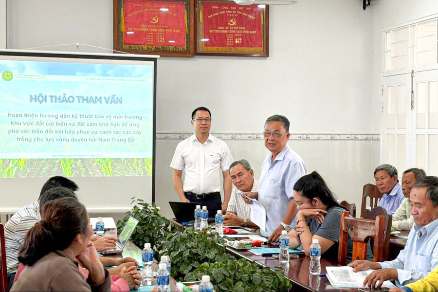 Hiệu quả bước đầu của mô hình bảo vệ đất cát biển và đất xám khô hạn tại Lâm Đồng