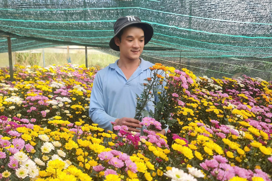 Khuyến nông không được “khoán trắng”