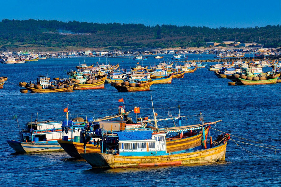 Cương quyết “tuyên chiến” với hành vi vi phạm khai thác IUU