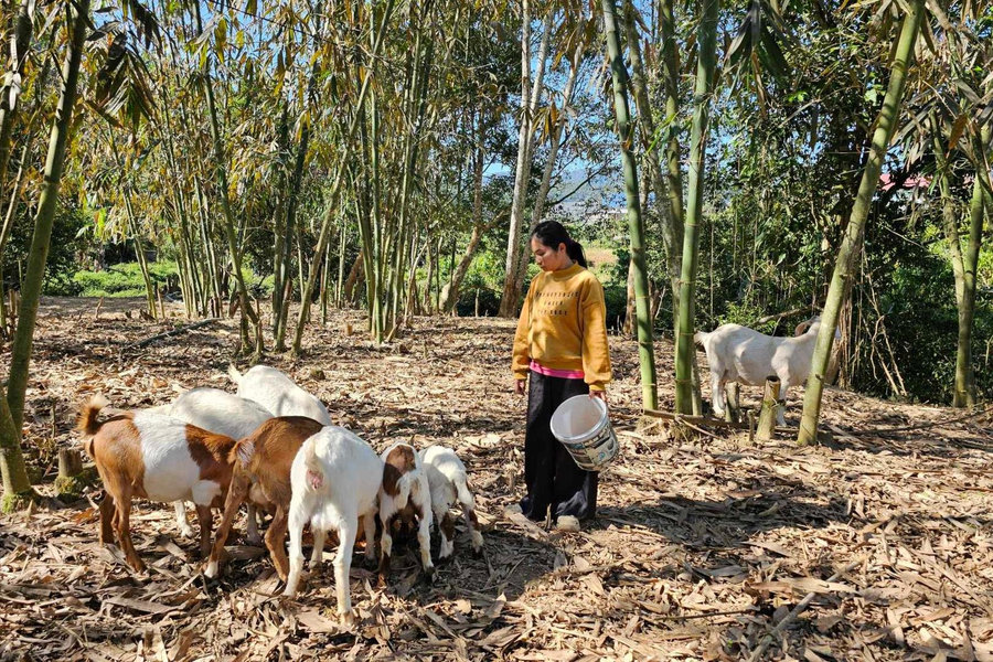 Sớm ổn cư, ổn canh cho các hộ dân di cư tự do